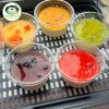 Panna Cotta Mềm Mịn Tan Chảy