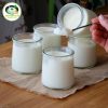Sữa Chua Dẻo Sánh Mịn
